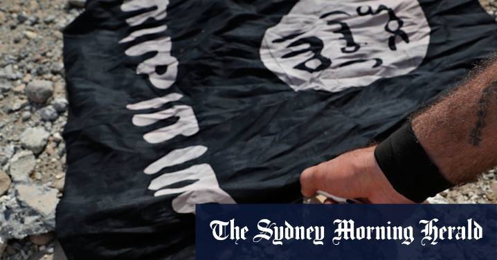 Women and children return to Australia after smuggling themselves out of Syria