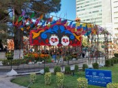 Chihuahua celebra el Día de Muertos con el festival “Regreso de las Ánimas” en el Centro Histórico