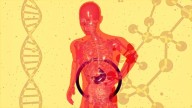 When a Common Infection Attacks: The Life-Threatening Complication of E. coli and Hemolytic Uremic Syndrome