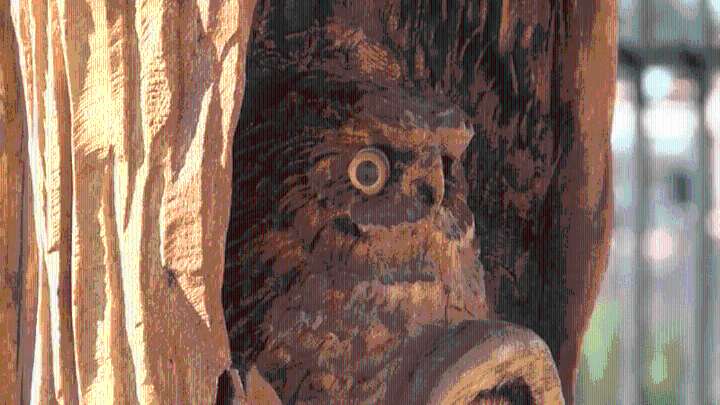 Retired AFR firefighter shares his talent of carving wooden sculptures