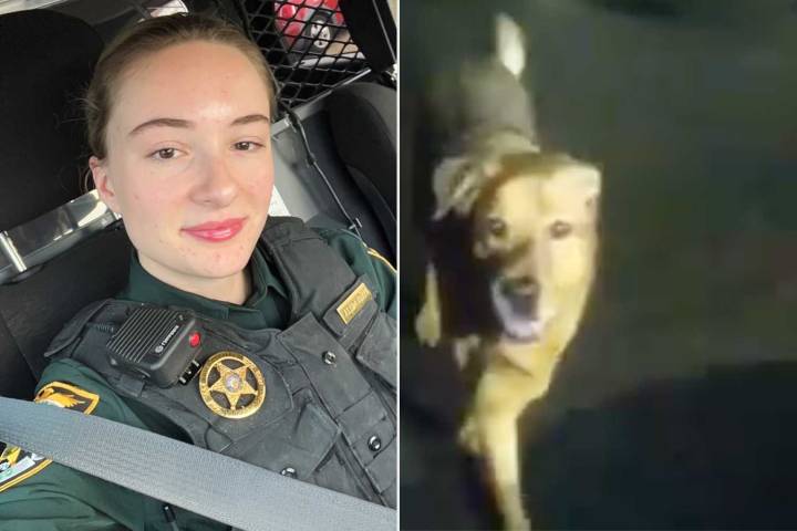 Hero Dog Leads Deputy to Injured Woman Who Fell During Walk