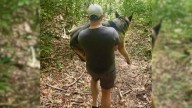 Hiker Finds Injured Dog In South Carolina Woods, Then Strangers Rally To Save Her