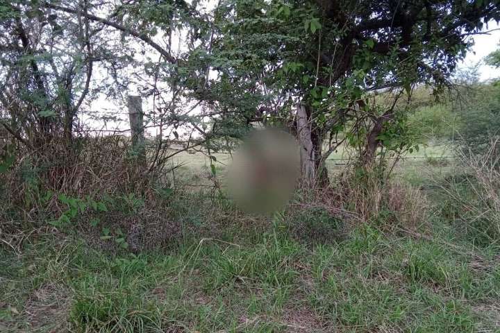 Sacrificaron a una perrita en un aparente ritual de brujería  en Natagaima, Tolima