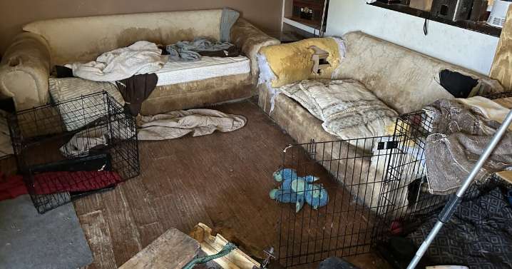 Two Northglenn residents charged with 109 counts of animal cruelty