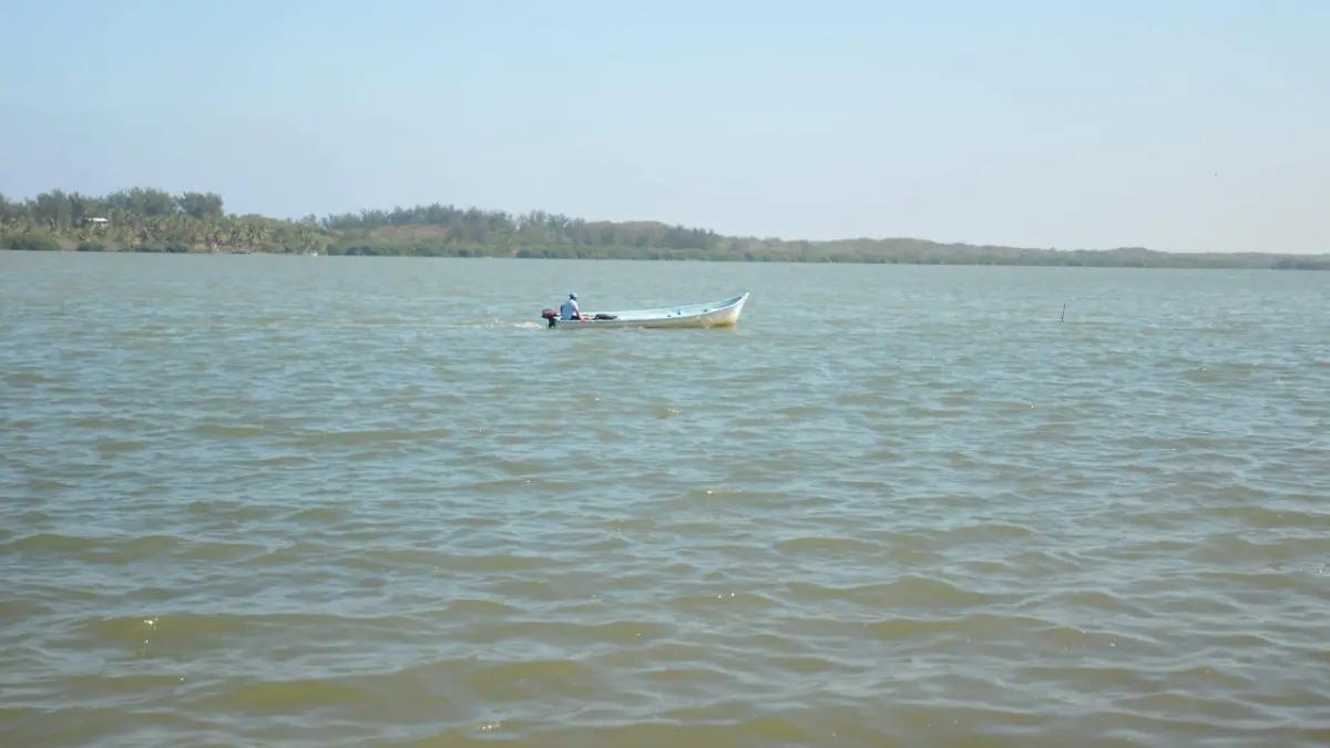 Desaparece el ostión en 90% de la Laguna de Tamiahua; pescadores exigen estudios