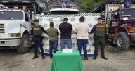 Recuperan $180 millones en ganado hurtado y capturan a tres personas en Santander