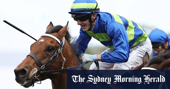 Mitchell Freedman on same path to conquer Hill Stakes at Rosehill again with Attrition