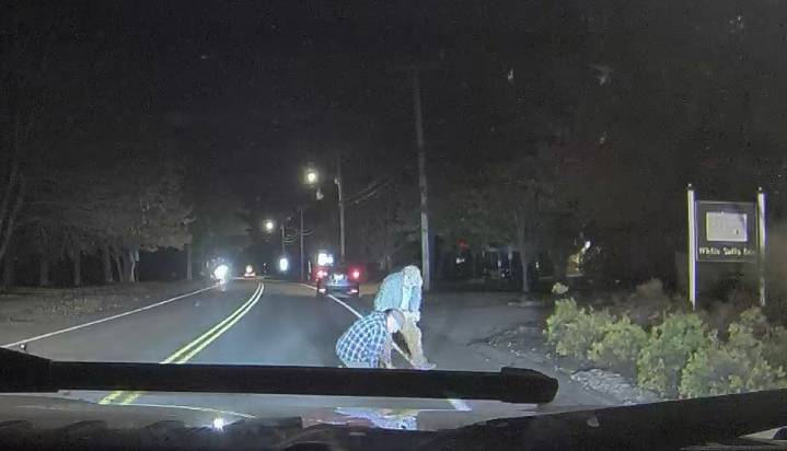 Maine police looking for man who allegedly found $7K on the road
