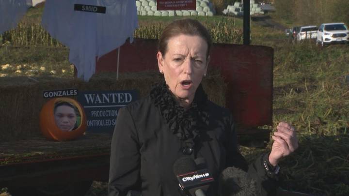 Surrey mayor challenger Linda Annis unveils first council candidates