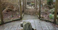 Lottery winner's joy over revamped Balloch hospice garden after Storm Eowyn damage