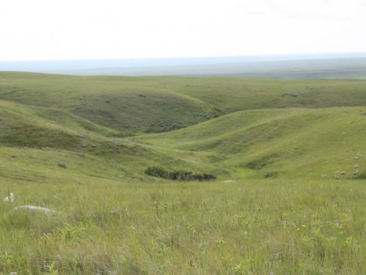 Alberta irrigation project on grasslands approved