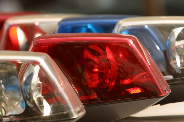 Police suspect 4 dogs in death of Central Florida woman