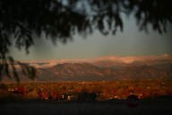 Freeze Warning Issued as Temperatures May Plunge Into 20s in Several States