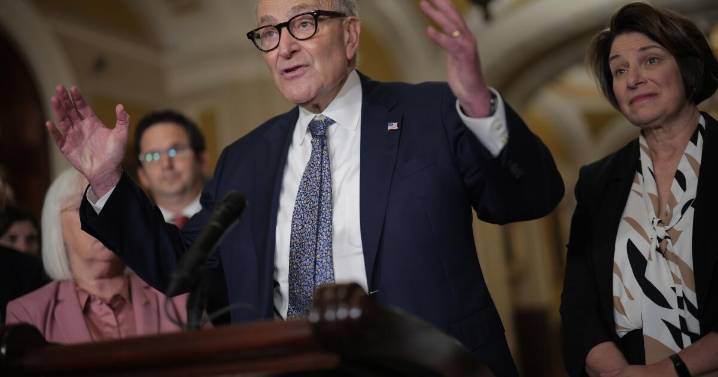 With shutdown, Democrats take a perilous risk at a precarious party moment