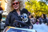 Paw-rade perfection: The Tompkins Square Halloween Dog Parade is back this weekend