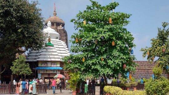 Servitors’ Protest Over Eviction Stalls Rituals In Bhubaneswar’s Lingaraj Temple