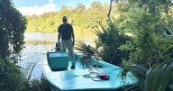This state park is nestled in the jungle in Acadiana. See where, what to know before you go.
