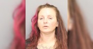 Maryland woman facing charges in multiple counties after break