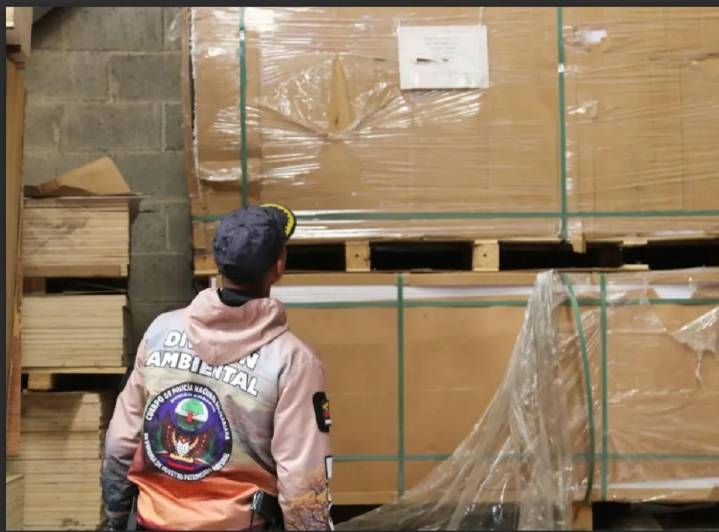Cierran tres carpinterías por incumplir Ley Orgánica del Ambiente y Ley de Bosques