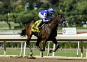 Himika takes short way to victory at Santa Anita