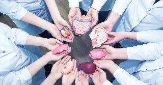 Donación de órganos, un acto de amor y responsabilidad