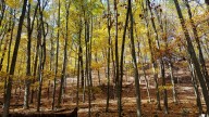 This challenge encourages Wisconsin hikers to hit Ice Age Trail in October