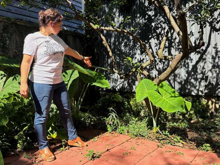 El misterio detrás de la lápida romana de 1.900 años que encontraron en un jardín residencial en New Orleans