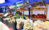 Gobierno impulsa plan de actividad física y alimentación
