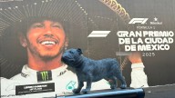 Roscoe, perro de Lewis Hamilton, es recordado en el GP de México