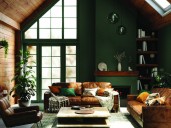 Paint trends for the year ahead 