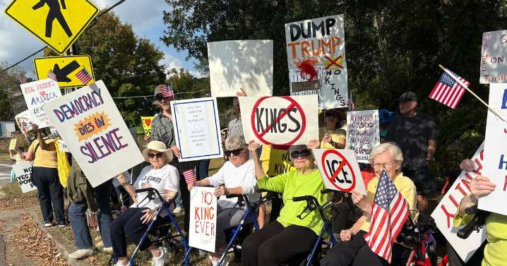 DeKalb’s seniors take to the streets for ‘No Kings’ rally