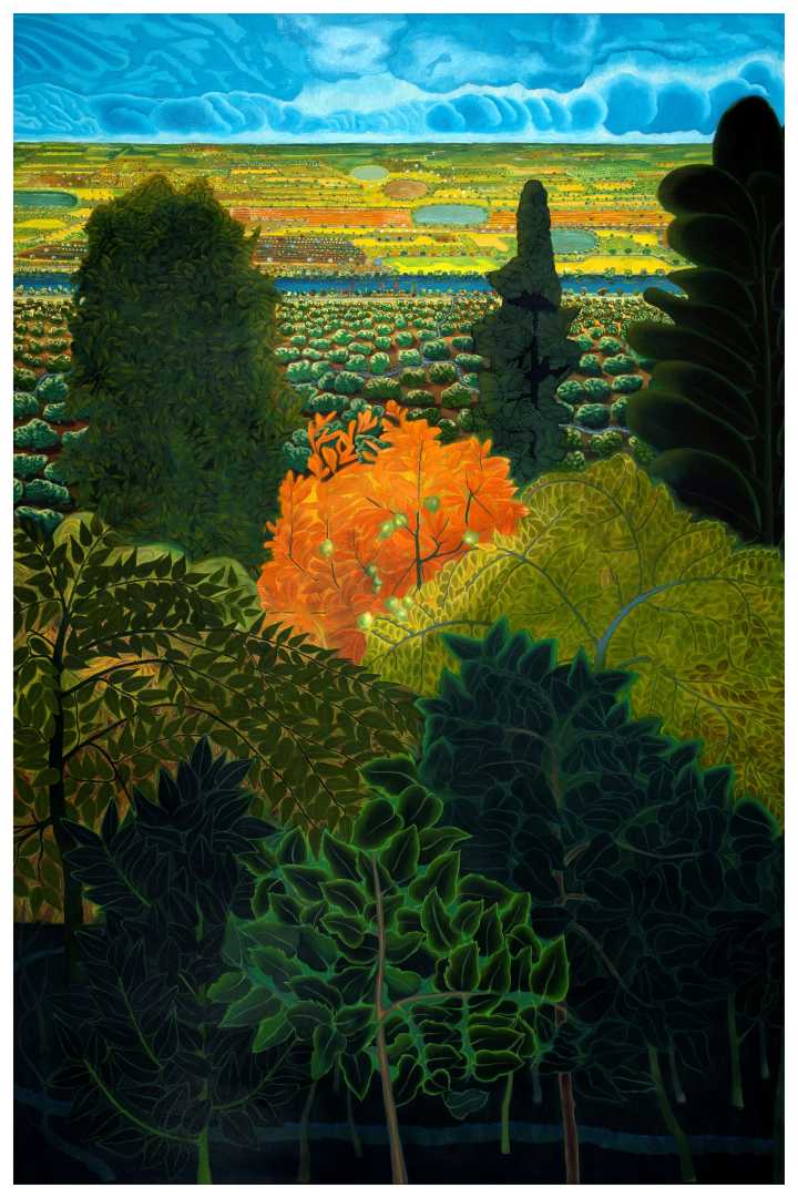 Conversations in Colour