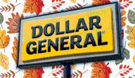 11 Best New Dollar General Seasonal Decor Flying Off Shelves This Week