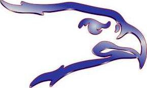 Ellinwood, Hoisington qualify for 2A, 3A state volleyball