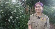 Opportunities abound for junior Indigenous rangers