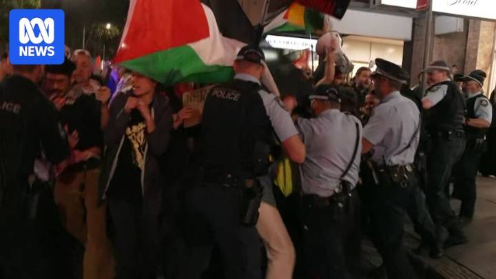 Arrests at pro-Palestinian rally at Sydney Town Hall