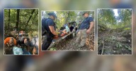 Man rescued after 20-foot fall near Lilly Mountain Nature Preserve in multi
