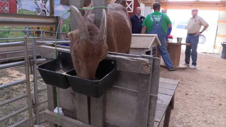 Farm Credit Mid-America and the Kiwanis Club unite for Farm Day
