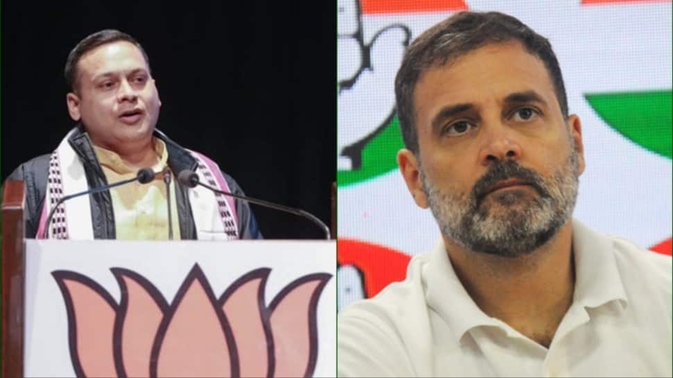 BJP Slams Rahul Gandhi's 'Bike-Car' Analogy, Calling It Nonsensical; Asks Public To Decode His Logic