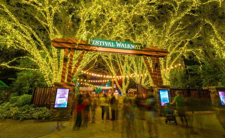 Christmas Town de Busch Gardens Tampa Bay regresa más grande y brillante que nunca