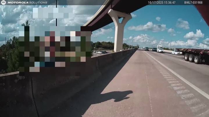 Officer's swift actions save 11-year-old during mental health crisis on interstate overpass