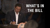 Florida lawmakers file 15 more bills. Here’s what each would do