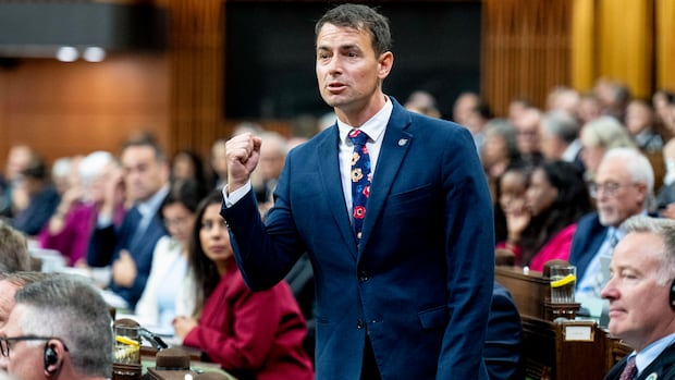 Canadian government allots $3.11 million in mental-health funding to athletes