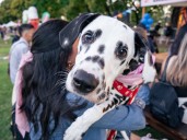 Festival Mascotear en Palermo: este fin de semana, 4 y 5 de octubre