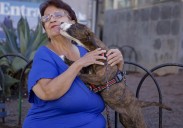 Pepi González y su amor por los animales de Guanarteme