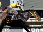 Gran Yaco seguirá campaña en circuito de La Rinconada