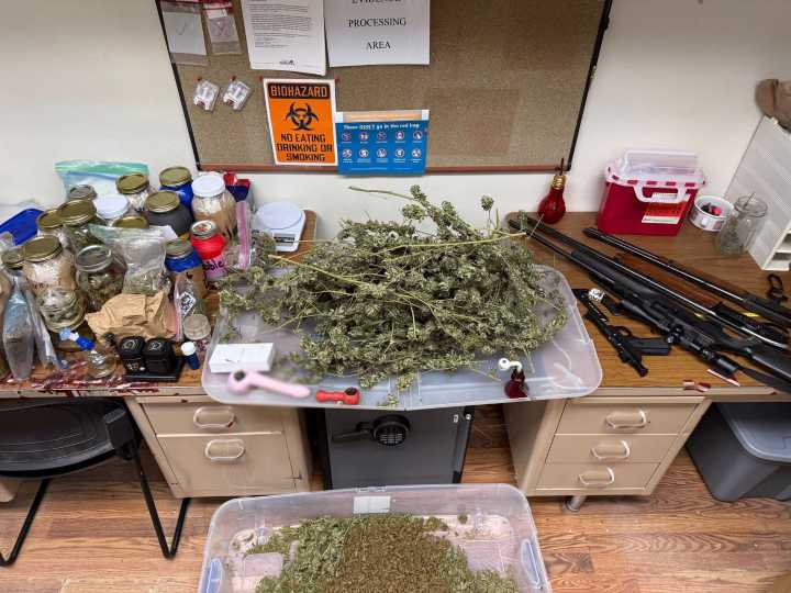 Suspected drug use in front of a teen leads to drug trafficking, firearm arrests in Smiths Grove