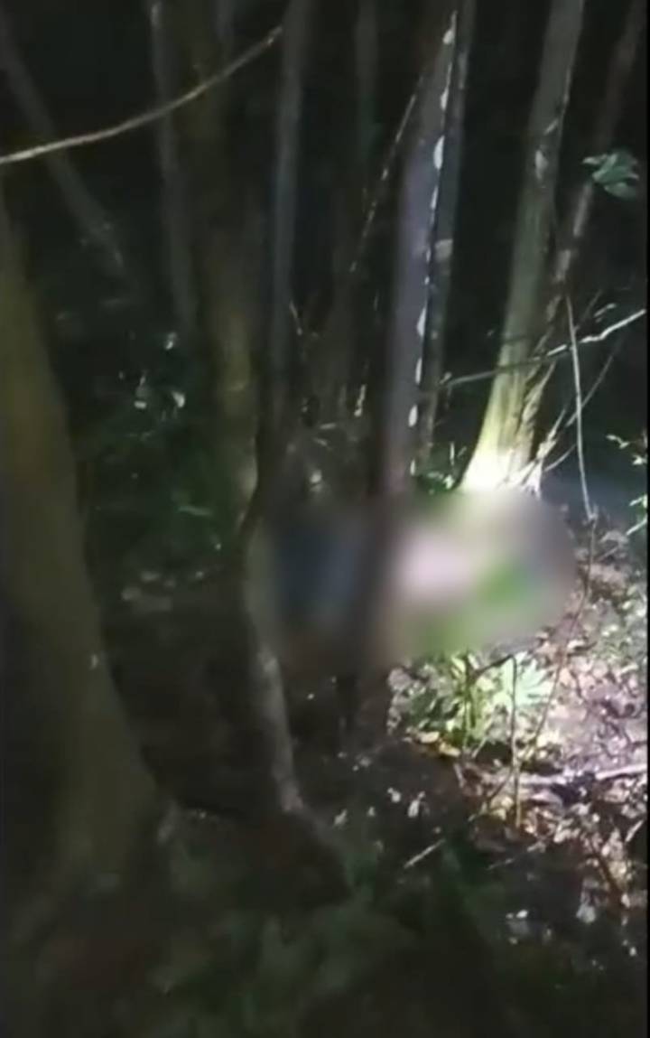 Meghalaya reels from latest murder of child; 13-yr-old girl falls victim in Ri